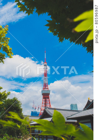 夏空の日の増上寺と東京タワー 80596987