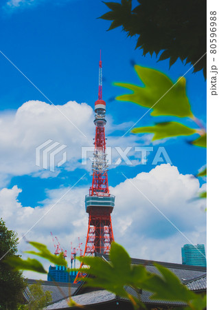 夏空の日の増上寺と東京タワー 80596988