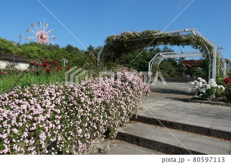 蜂ヶ峰総合公園のバラ園 80597113
