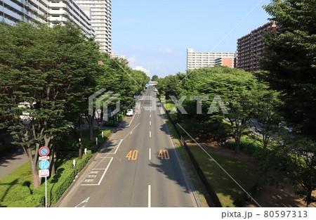 早朝の幹線道路(東京) 早朝の幹線道路(東京) 80597313