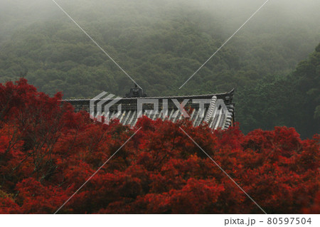 京都清水寺の紅葉 京都清水寺の紅葉 80597504