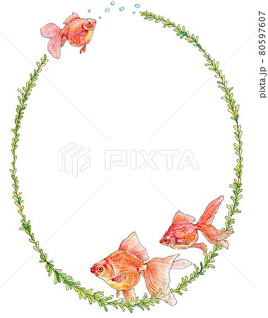 金魚と水草の飾り枠 80597607