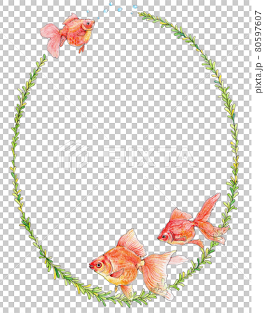 Goldfish and aquatic plant decorative frame 80597607
