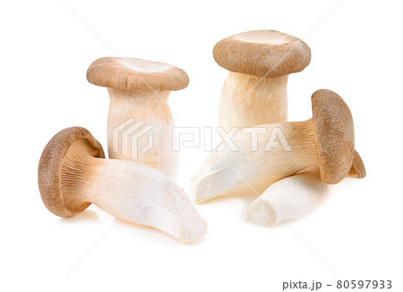 Royal oyster mushroom on white background 80597933