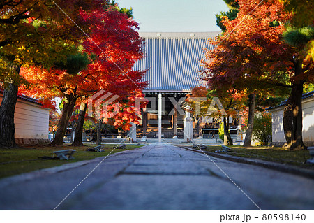 京都妙顕寺の紅葉 80598140