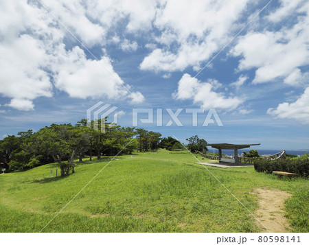 前田高地(ハクソー・リッジ)(浦添城跡) 前田高地(ハクソー・リッジ)(浦添城跡) 80598141