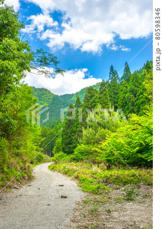 禿(ハゲ)の行者山へと続く登山道(兵庫県姫路市夢前町)※作品コメント欄に撮影位置 禿(ハゲ)の行者山へと続く登山道(兵庫県姫路市夢前町)※作品コメント欄に撮影位置 80598346