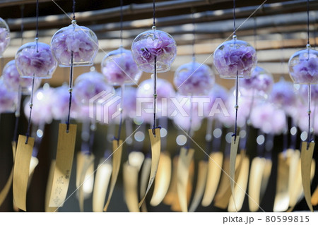 正寿院　夏の風鈴まつり 80599815