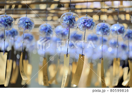 正寿院　夏の風鈴まつり 80599816