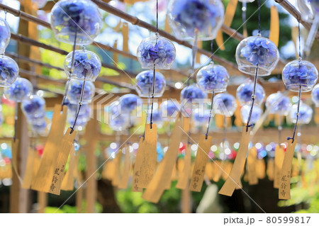 正寿院　夏の風鈴まつり 80599817