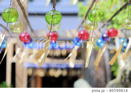 正寿院　夏の風鈴まつり 80599818