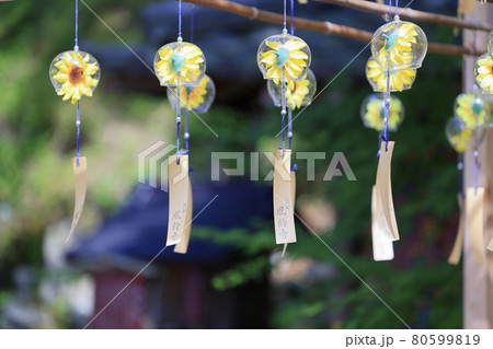 正寿院　夏の風鈴まつり 80599819