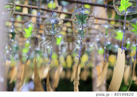 正寿院　夏の風鈴まつり 80599820