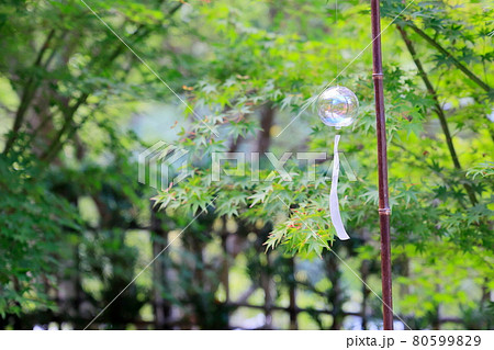 正寿院 夏の風鈴まつり 正寿院 夏の風鈴まつり 80599829