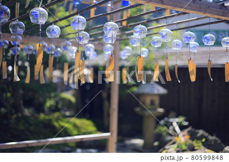 正寿院 夏の風鈴まつり 正寿院 夏の風鈴まつり 80599848