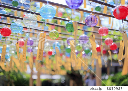 正寿院 夏の風鈴まつり 正寿院 夏の風鈴まつり 80599874