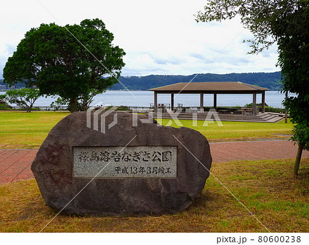 桜島溶岩なぎさ公園4 80600238