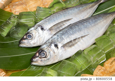 アジ　マアジ　 80600558