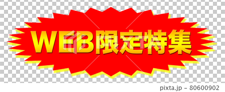 WEB限定專刊店 80600902