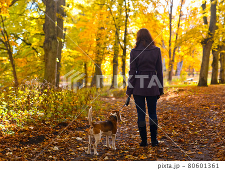 walk in the Park 80601361
