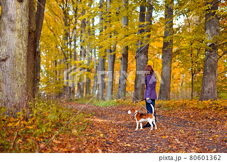 walk in the Park 80601362