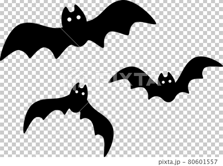 可愛い飛ぶコウモリのイラスト 可愛い飛ぶコウモリのイラスト 80601557