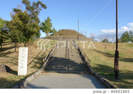 二子玉川公園 二子玉川公園 80602885