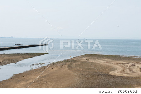 二色の浜海水浴場 80603663