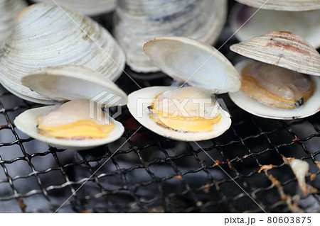 バーベキューコンロでホンビノス貝を網焼きする 80603875