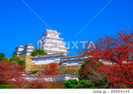 秋の姫路城 80604144