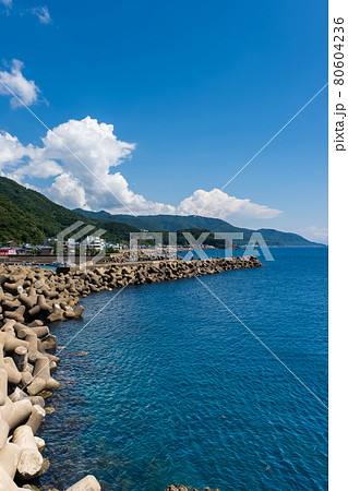 越前海岸　越前海岸旅情公園（福井県）福井県丹生郡越前町梅浦 80604236
