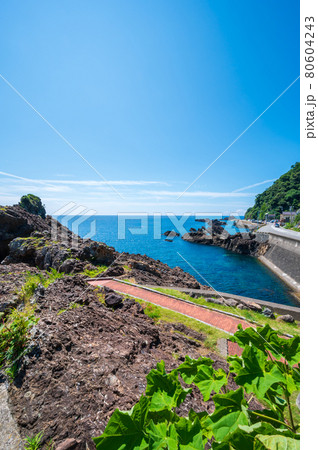 越前海岸 越前海岸旅情公園(福井県)福井県丹生郡越前町梅浦 越前海岸 越前海岸旅情公園(福井県)福井県丹生郡越前町梅浦 80604243