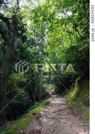 生駒山ハイキング 80604395