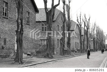 アウシュビッツ 80605201