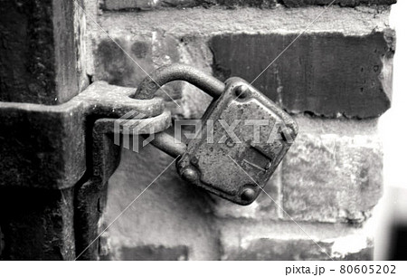 アウシュビッツ 80605202