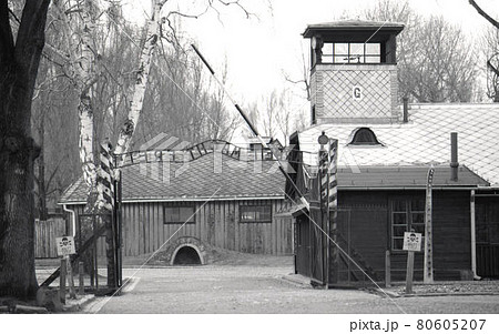 アウシュビッツ 80605207