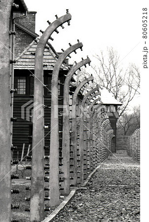 アウシュビッツ 80605218