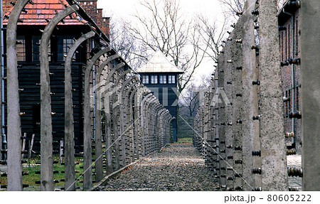 アウシュビッツ 80605222