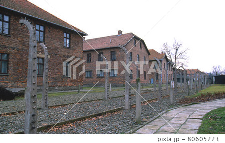 アウシュビッツ アウシュビッツ 80605223