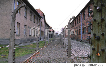 アウシュビッツ 80605227