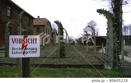 アウシュビッツ アウシュビッツ 80605228