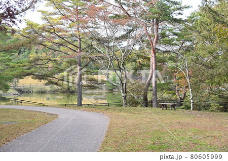 有馬富士公園 80605999