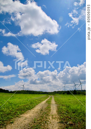 布引風の高原の夏(郡山市・湖南町) 布引風の高原の夏(郡山市・湖南町) 80606093
