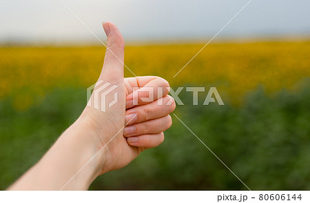 Sign thumb up at nature green background on summer day, closeup. Woman showing thumb-up sign, gesture concept Sign thumb up at nature green background on summer day, closeup. Woman showing thumb-up sign, gesture concept 80606144