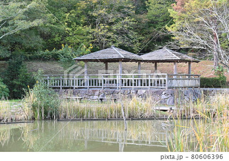 有馬富士公園 有馬富士公園 80606396