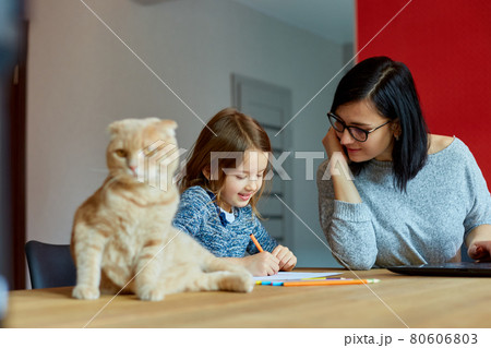 Mother working in her home office on a laptop, daughter sits draw, Scottish cat sitting nearby. Mother working in her home office on a laptop, daughter sits draw, Scottish cat sitting nearby. 80606803