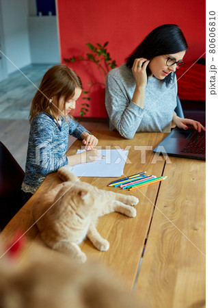 Mother working in her home office on a laptop, daughter sits draw, Scottish cat sitting nearby. Mother working in her home office on a laptop, daughter sits draw, Scottish cat sitting nearby. 80606810