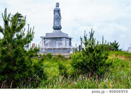 みちのく潮風トレイル　仙台市若林区荒浜に再生したテリハノイバラ 80606959