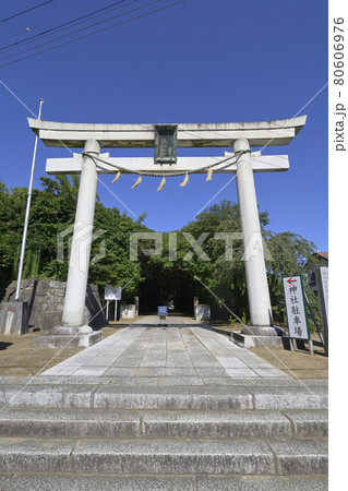 酒列磯前神社の鳥居と樹叢（じゅそう）に覆われた参道 80606976