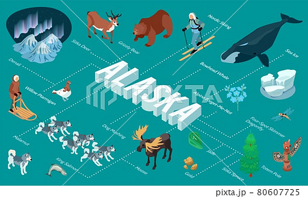 Alaska Isometric Flowchart 80607725